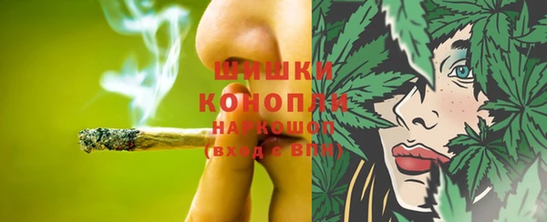 СК Няндома