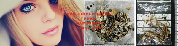 амф Нязепетровск