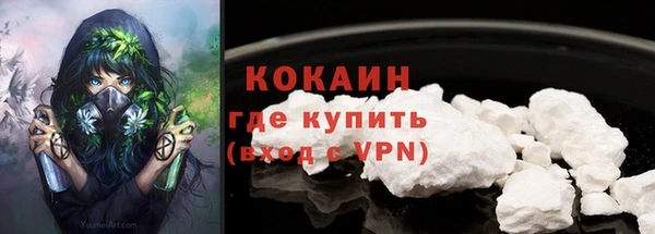 СК Няндома