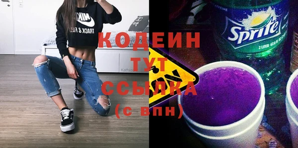 СК Няндома