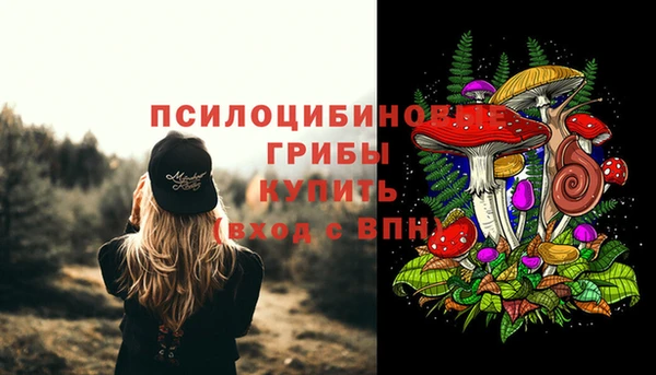 СК Няндома