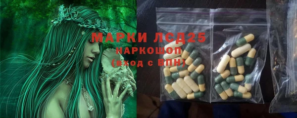СК Няндома