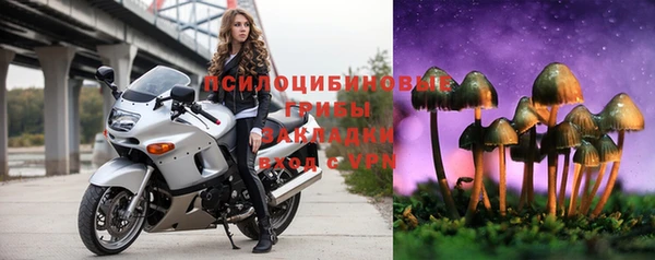 амф Нязепетровск